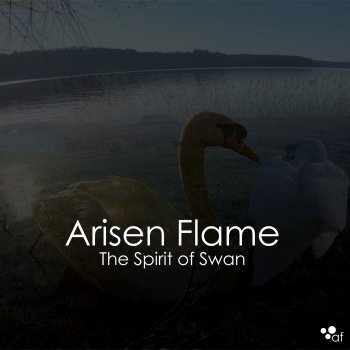 Arisen Flame The Spirit of Swan
