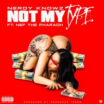 Nerdy KnowZ feat. Nef The Pharaoh Not My Type (feat. Nef The Pharaoh)
