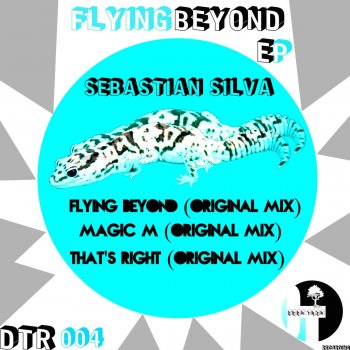 Sebastian Silva Flying Beyond - Original Mix