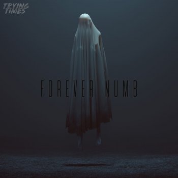 Trying Times Forever Numb