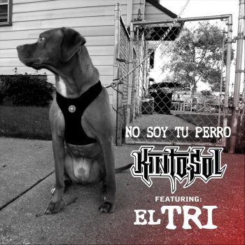 Kinto Sol feat. El Tri No Soy Tu Perro