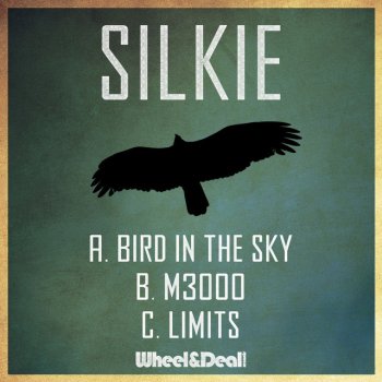 Silkie Bird in the Sky