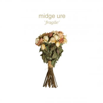Midge Ure Are We Connected