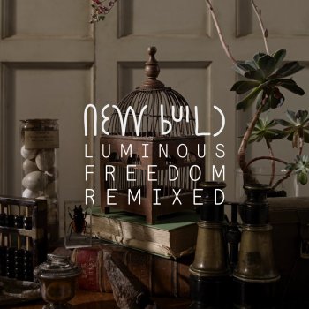 New Build Luminous Freedom (Tim Green Remix)