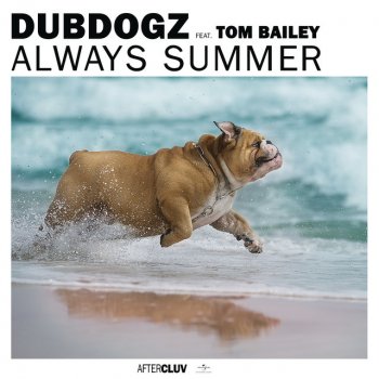 Dubdogz feat. Tom Bailey Always Summer - Extended