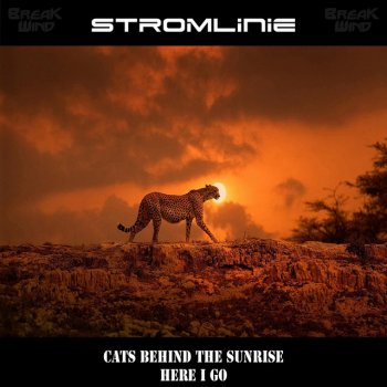 Stromlinie Cats Behind The Sunrise