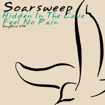 Soarsweep Feel No Pain