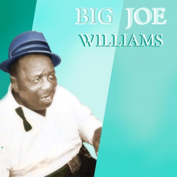 Big Joe Williams Don't Want No