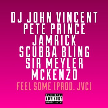 DJ John Vincent feat. Jamrick, Pete Prince, Scubba Bling, Sir Meyler & Mckenzo Feel Some