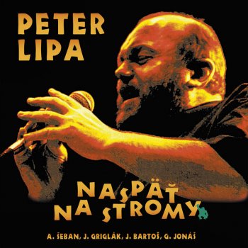 Peter Lipa Song