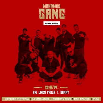 Bsw feat. T. Danny, Lmen Prala & Metzker Viktória Mokambo Gang - Metzker Viktória Remix