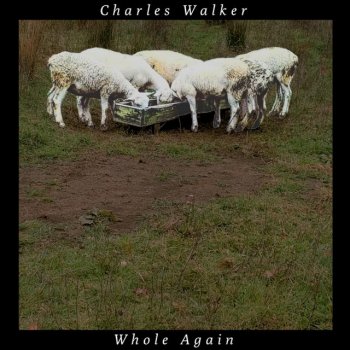 Charles Walker Detox