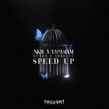 TheVort Nkbi Yapamam - Speed Version