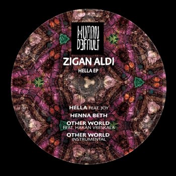 Zigan Aldi Other World (Intsrumental)