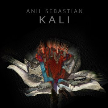 Anil Sebastian Kali