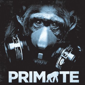 Primate Hipérbola