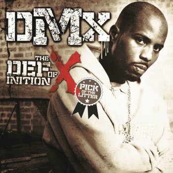 DMX featuring Sisqó What These B*****s Want