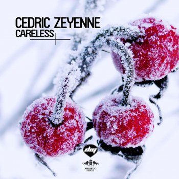 Cedric Zeyenne Careless - Radio Edit