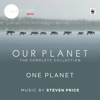 Steven Price This Is Our Planet