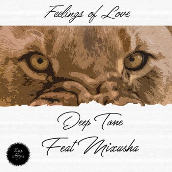 Deep Tone feat. Mixusha Feelings of Love