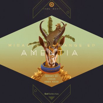 Amentia Miracle D'Hwange (Armen Miran Remix)