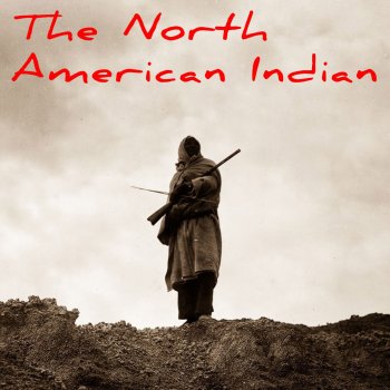 Arman The North American Indian