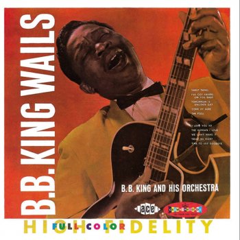 B.B. King Why I Sing The Blues