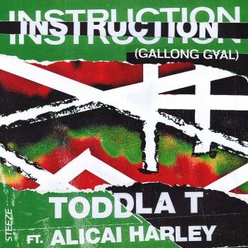 Toddla T feat. Alicai Harley Instruction (Gallong Gyal)