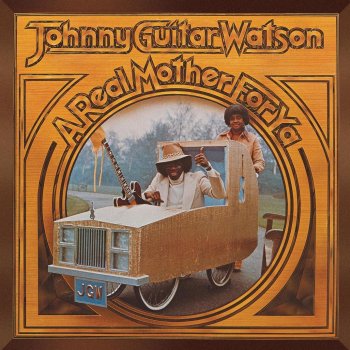 Johnny "Guitar" Watson Nothing Left To Be Desired