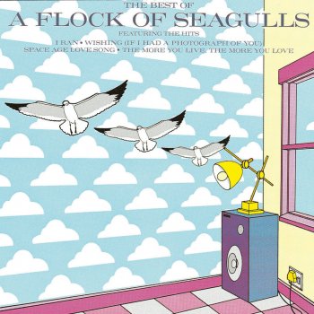 A Flock of Seagulls Wishing (If I Had a Photograph of You)