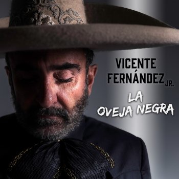 Vicente Fernández Jr. feat. Nora González Me Hace Tanto Bien