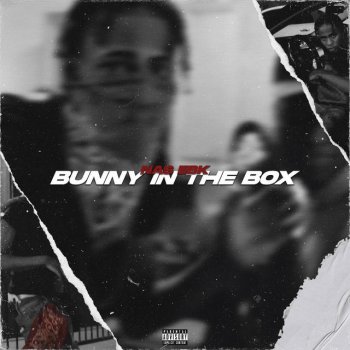 Nas Ebk Bunny In The Box