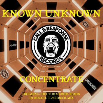 Known Unknown Concentrate (DJ Huggie Remix)