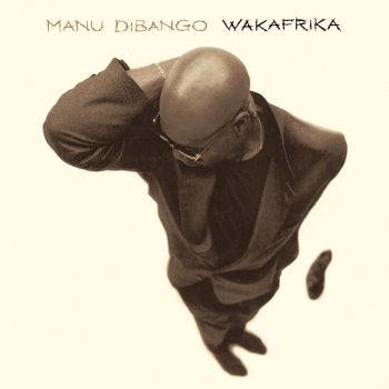 Manu Dibango feat. Ray Lema Homeless (feat. Ray Lema)
