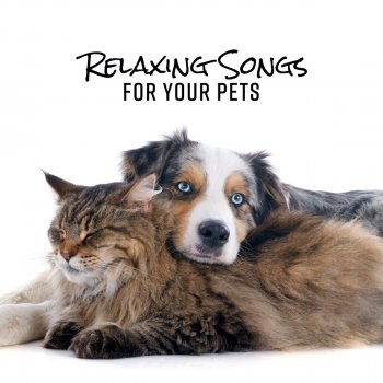 Pet Music Academy Anxiety Relief