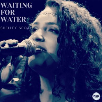 Shelley Segal Waiting For Water