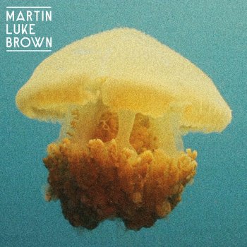 Martin Luke Brown Into Yellow