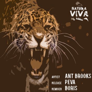 Ant Brooks Peva (DJ Boris Remix)