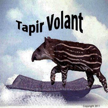 Tapir Volant Petit Rock
