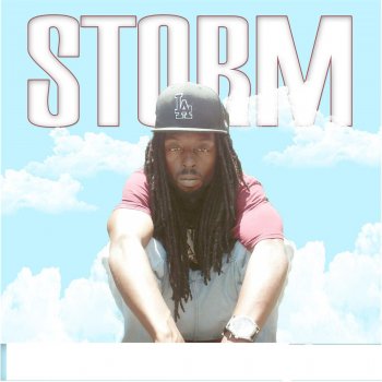 Storm feat. Alex HD Say Never (feat. Alex Hd)