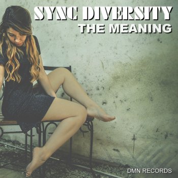 Sync Diversity The Meaning (Friso Schaap Uplifting Trance Mix)