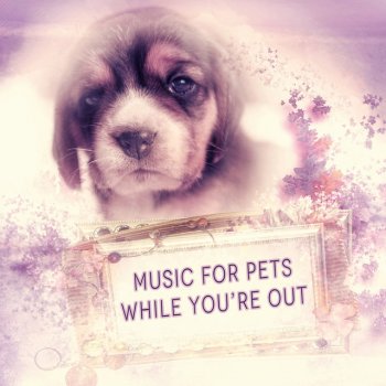 Pet Music Academy Calming Music