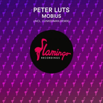 Peter Luts Mobius (Funkerman Remix Extended)
