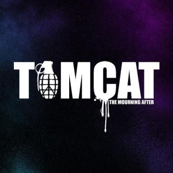 Tomcat Follow the Leader