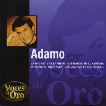 Adamo feat. Salvatore Adamo Porque Yo Quiero