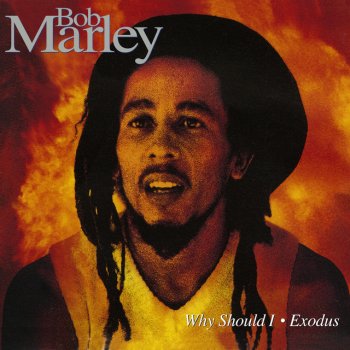 Bob Marley & The Wailers Why Should I (Bone Remix Edit)