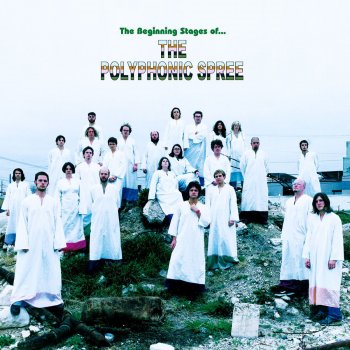 The Polyphonic Spree Light & Day/Reach For The Sun