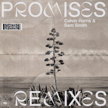 Calvin Harris feat. Sam Smith Promises (David Guetta Remix)