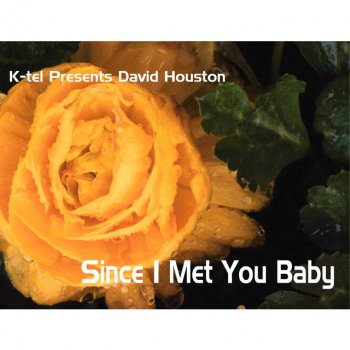 David Houston Since I Met You Baby