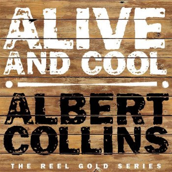 Albert Collins How Blue Can You Get (Live)